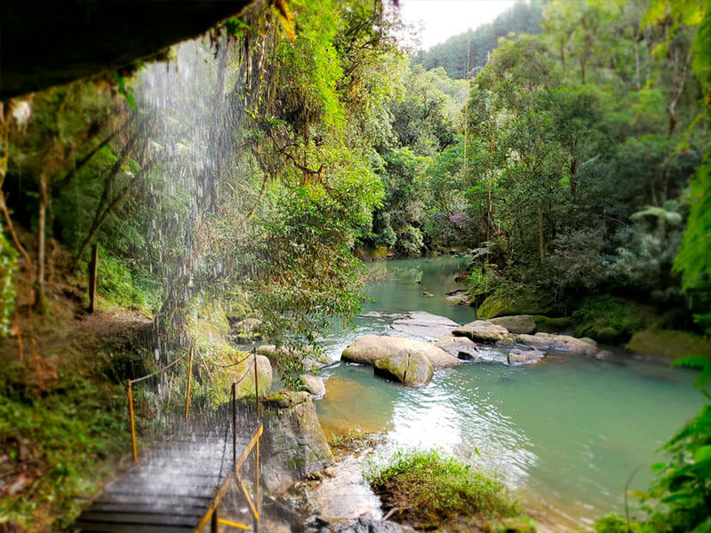 As melhores trilhas em Rio dos Cedros, Santa Catarina (Brasil)